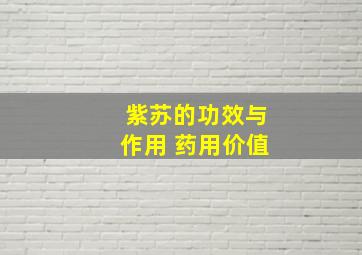 紫苏的功效与作用 药用价值